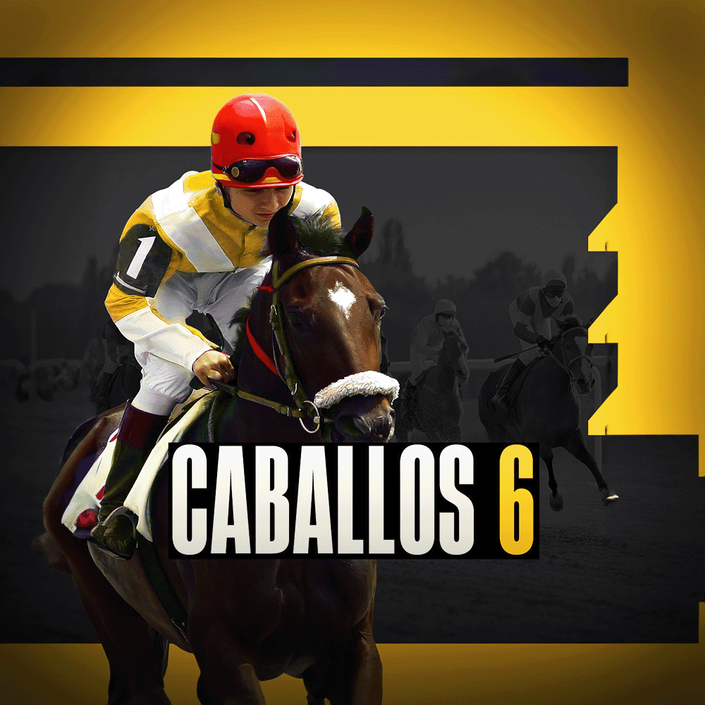 Horses 6